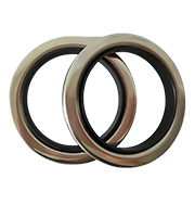 Screw Compressor Oil Seal